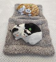 "Кошка с котенком" во Дедовске