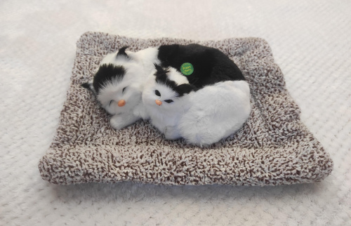 Купить "Кошка с котенком" во Дедовске фото 2 "Кошка с котенком" во Дедовске фото 2